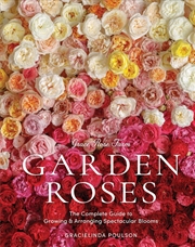 Buy Grace Rose Farm: Garden Roses