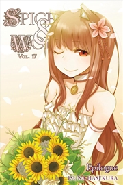 Buy Spice and Wolf, Vol. 17 - Novel
