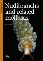Buy Nudibranchs and Related Molluscs