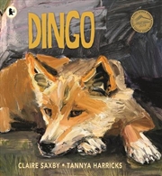 Buy Dingo
