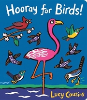 Buy Hooray for Birds!