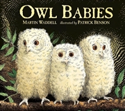 Buy Owl Babies