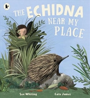 Buy Echidna Near My Place
