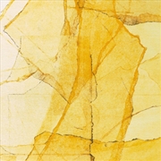 Buy Central Parks Mosaic Of Reservoir, Lake, Paths And Gardens - Transparent Vinyl