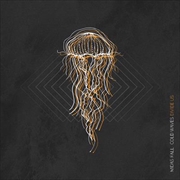 Buy Cold Waves Divide Us (Clear With Orange/Black Splatter Vinyl)