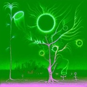 Buy Flowers Are Blooming In Antarc