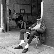 Buy Tailored Cuts, Vol. 06