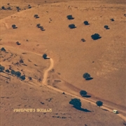 Buy Nocturnal Consolations