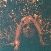 Buy Peripheral Vision
