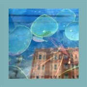 Buy Acknowledge Kindness - Subconscious Window Pane Vinyl