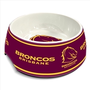 Buy NRL BRONCOS DOG BOWL 710ML