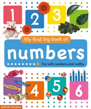 Buy My First Big Book of Numbers