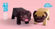 Buy Pop Up Pet Pug Puppies
