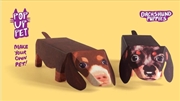 Buy Pop Up Pet Dachshund Puppies