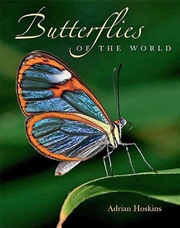 Buy Butterflies of the World
