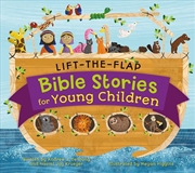 Buy Lift-The-Flap Surprise Bible Stories
