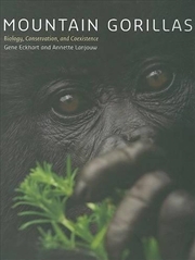 Buy Mountain Gorillas