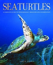 Buy Sea Turtles