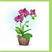 Buy Quilled Greeting Card Purple Orchid 15x15cm