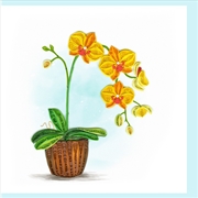 Buy Quilled Greeting Card Yellow Orchid 15x15cm