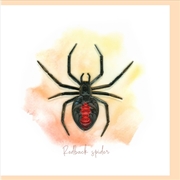 Buy Quilled Greeting Card Redback Spider 15x15cm