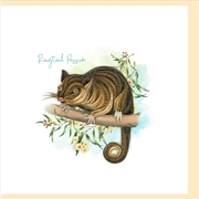 Buy Quilled Greeting Card Ringtail Possum 15x15cm