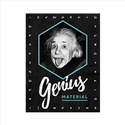 Buy Nostalgic-Art Magnet Einstein Genius 6x8x0.2cm
