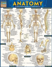 Buy Anatomy - Reference Guide
