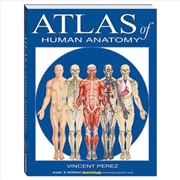 Buy Atlas Of Human Anatomy