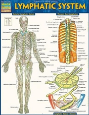 Buy Lymphatic System