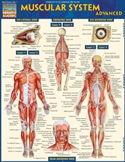 Buy Muscular System Advanced
