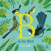 Buy B Is For Bird