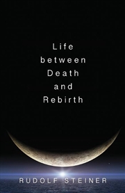 Buy Life Between Death and Rebirth