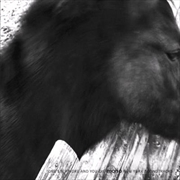 Buy One Step More And You Die