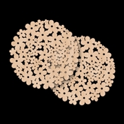 Buy 2pc Wooden Coaster Flowers 10x10x0.3cm