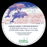 Buy Schwarm Remixes