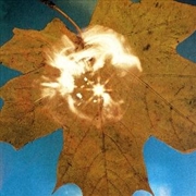 Buy Force Of The Wind