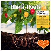 Buy Roots