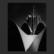 Buy Allegiance And Conviction