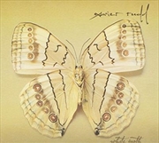 Buy White Moth