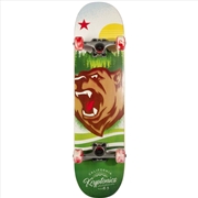 Buy Bravo Sports Kryptonics KR31 Star Series Skateboard - Swirled Bear