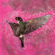 Buy Girl Echo Suns Veils