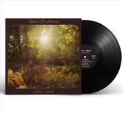 Buy Sun of Amen