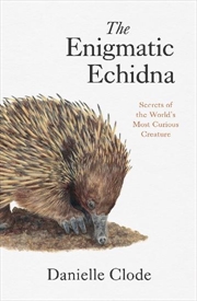 Buy The Enigmatic Echidna