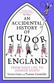 Buy An Accidental History Of Tudor England