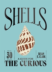 Buy Shells