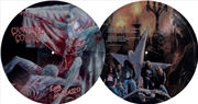 Buy Tomb Of The Mutilated - Picture Disc
