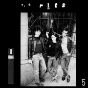 Buy Rats