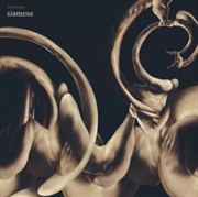 Buy Dissolution