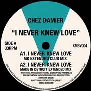Buy I Never Knew Love